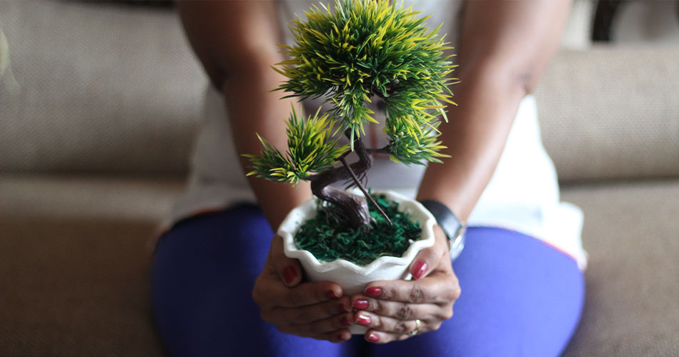 The rise of eco-cleaning over the past 5 years